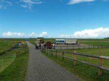 Zur vereinbarten Zeit trafen wir uns alle wieder am Kutschenplatz. Weiter ging die Fahrt über die Insel. Der 