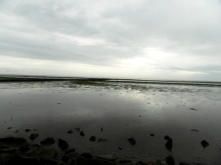 Wattenmeer